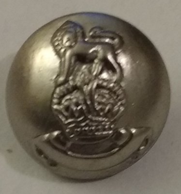 Knapp 20 mm Ø Silverfärgad